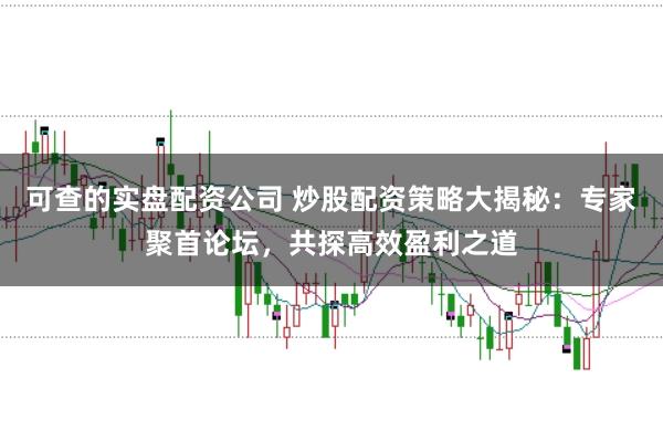 可查的实盘配资公司 炒股配资策略大揭秘：专家聚首论坛，共探高效盈利之道