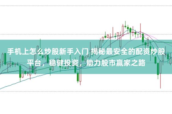 手机上怎么炒股新手入门 揭秘最安全的配资炒股平台，稳健投资，助力股市赢家之路