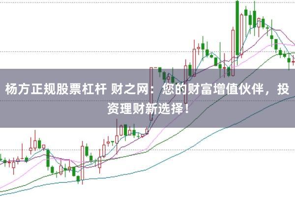 杨方正规股票杠杆 财之网：您的财富增值伙伴，投资理财新选择！