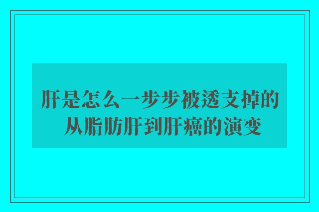 肝是怎么一步步被透支掉的 从脂肪肝到肝癌的演变