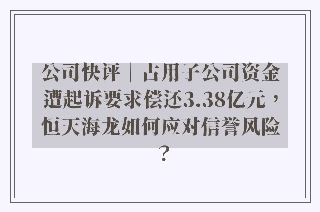 公司快评︱占用子公司资金遭起诉要求偿还3.38亿元，恒天海龙如何应对信誉风险？