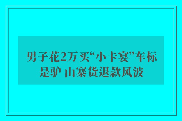 男子花2万买“小卡宴”车标是驴 山寨货退款风波