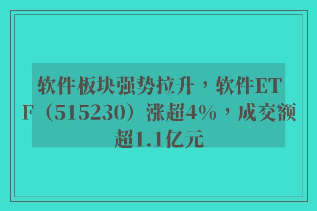 软件板块强势拉升，软件ETF（515230）涨超4%，成交额超1.1亿元